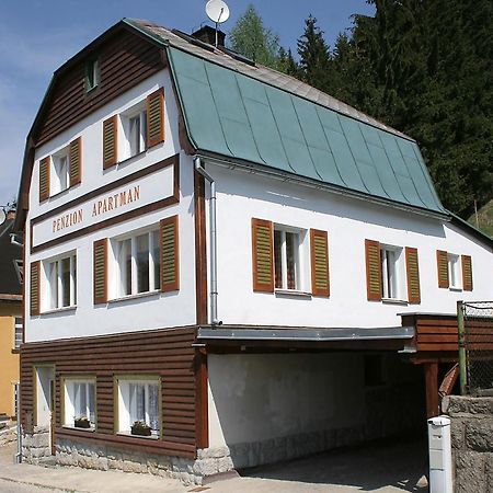 Penzion Apartman Janov Janov nad Nisou Buitenkant foto