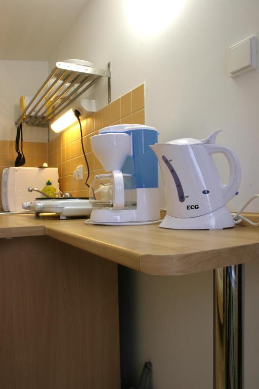 Penzion Apartman Janov Janov nad Nisou Buitenkant foto