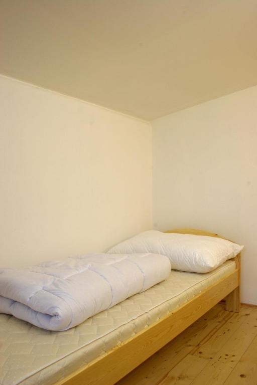 Penzion Apartman Janov Janov nad Nisou Buitenkant foto